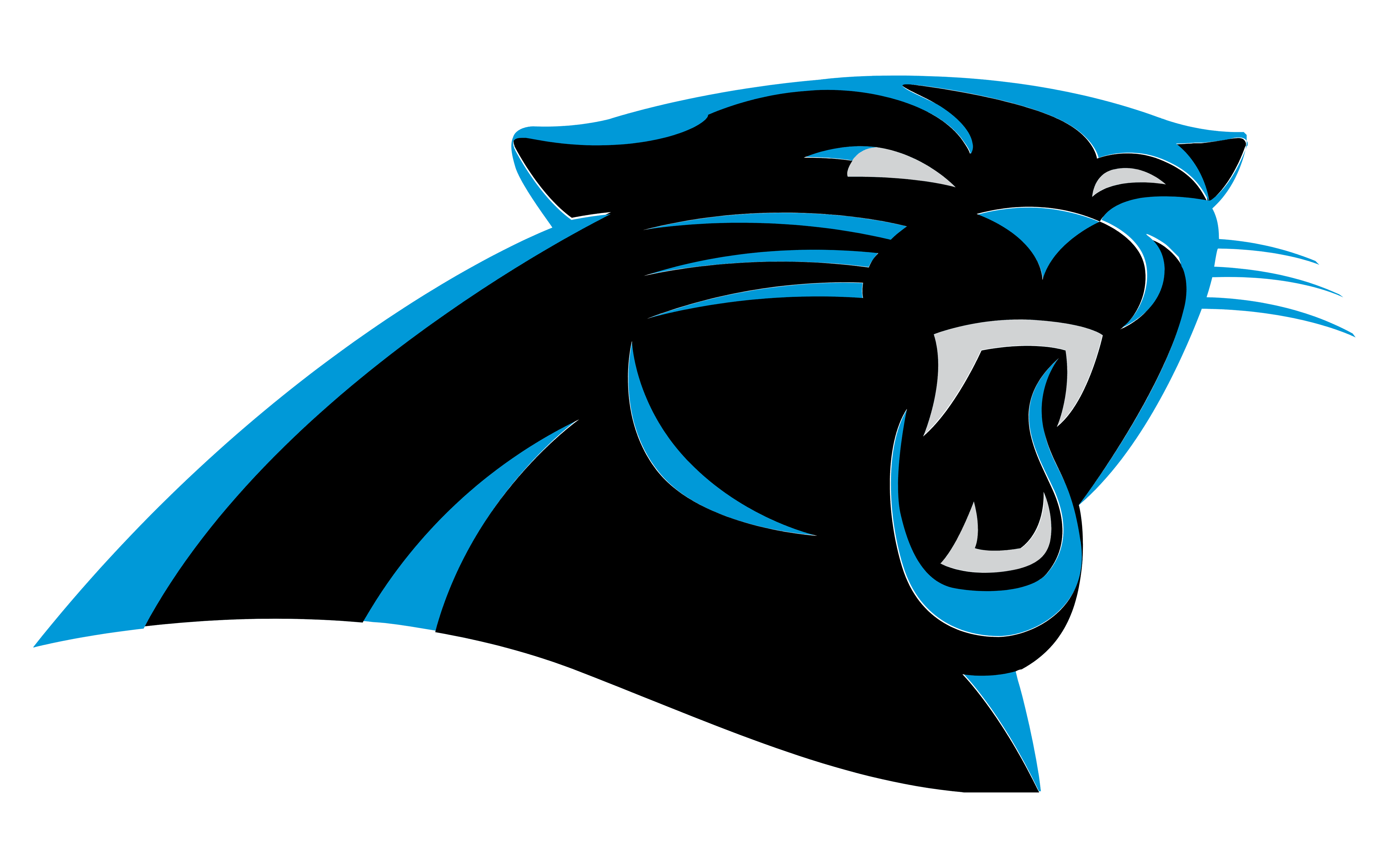 Panthers