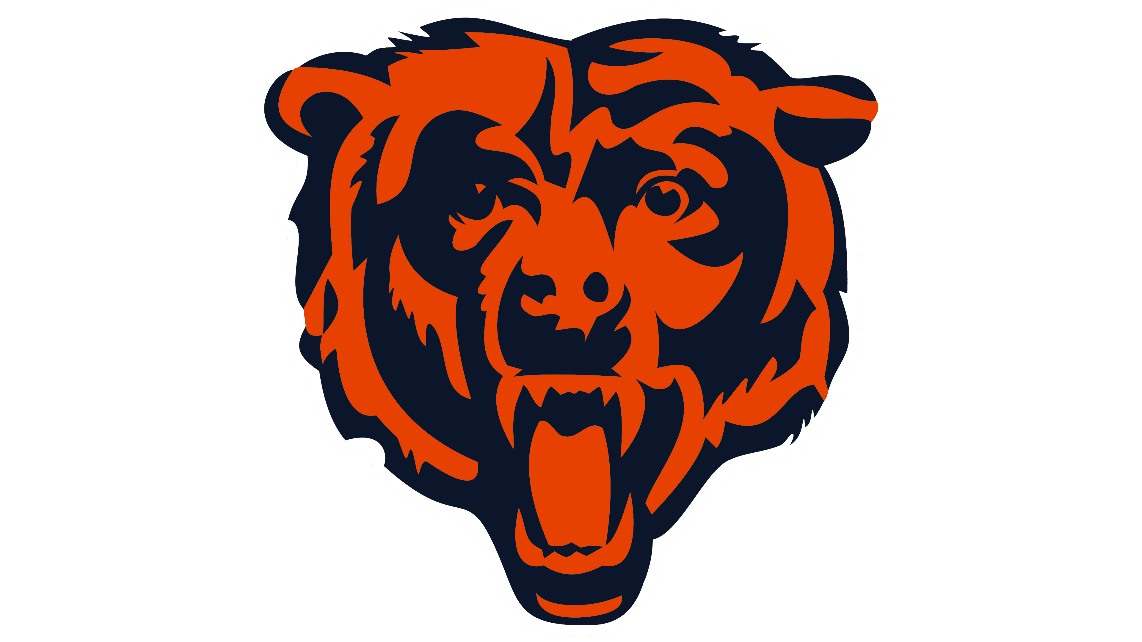 Bears